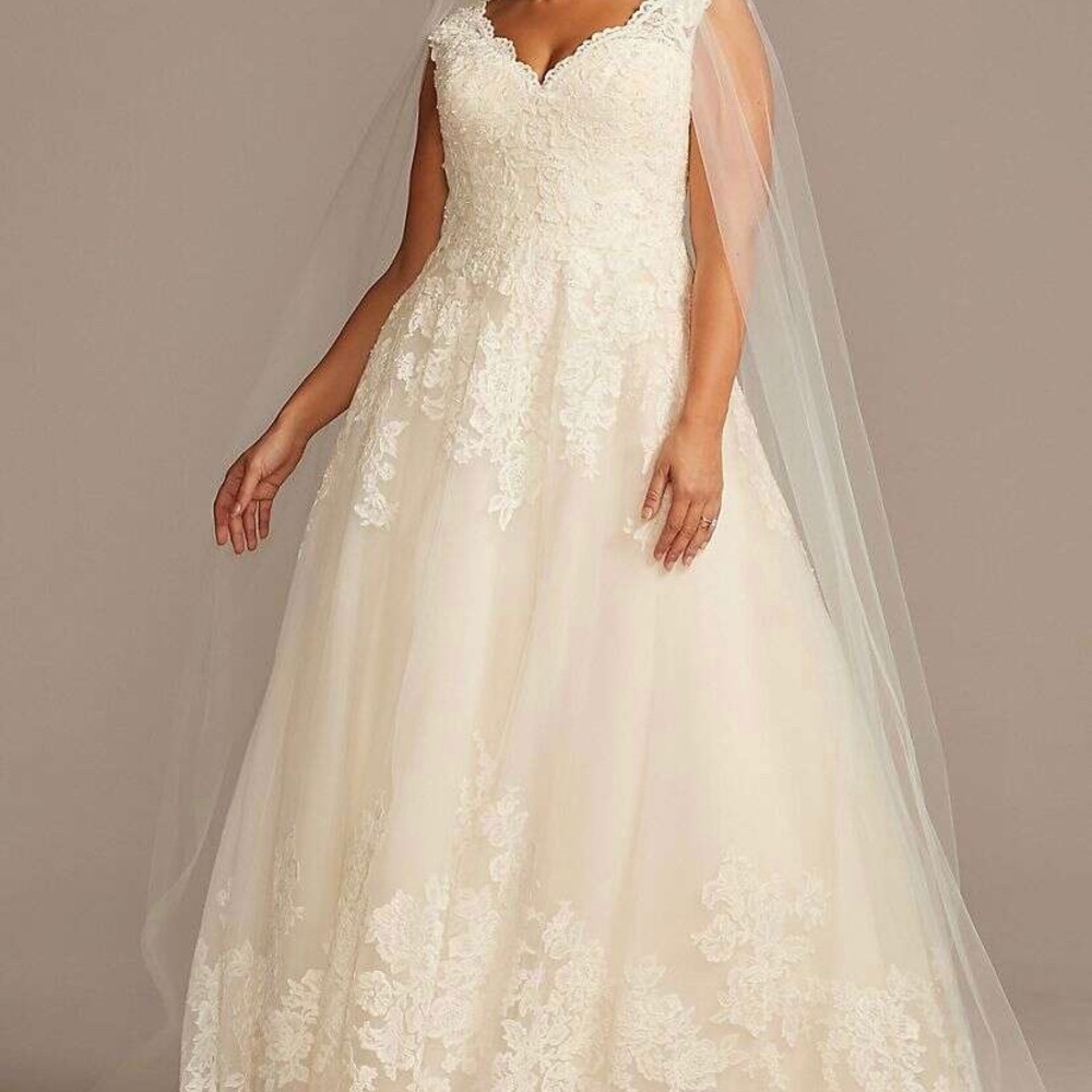 David’s Bridal Wedding Dress (26W)